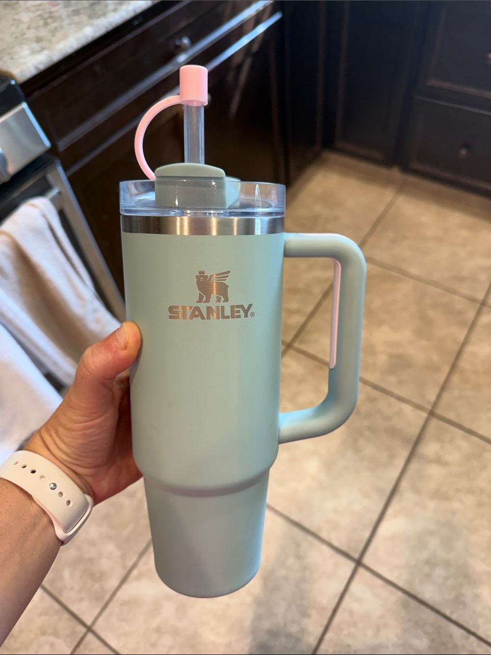 Stanley Travel Tumbler with Handle - Mint Green with Pink Straw